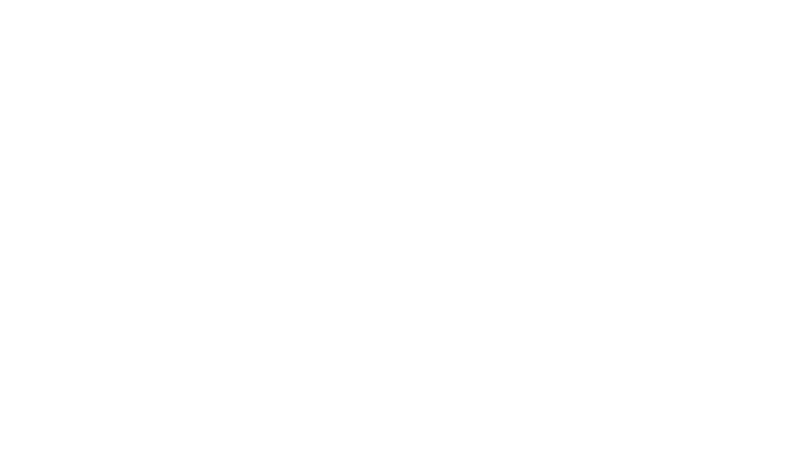 Ravenlights.com